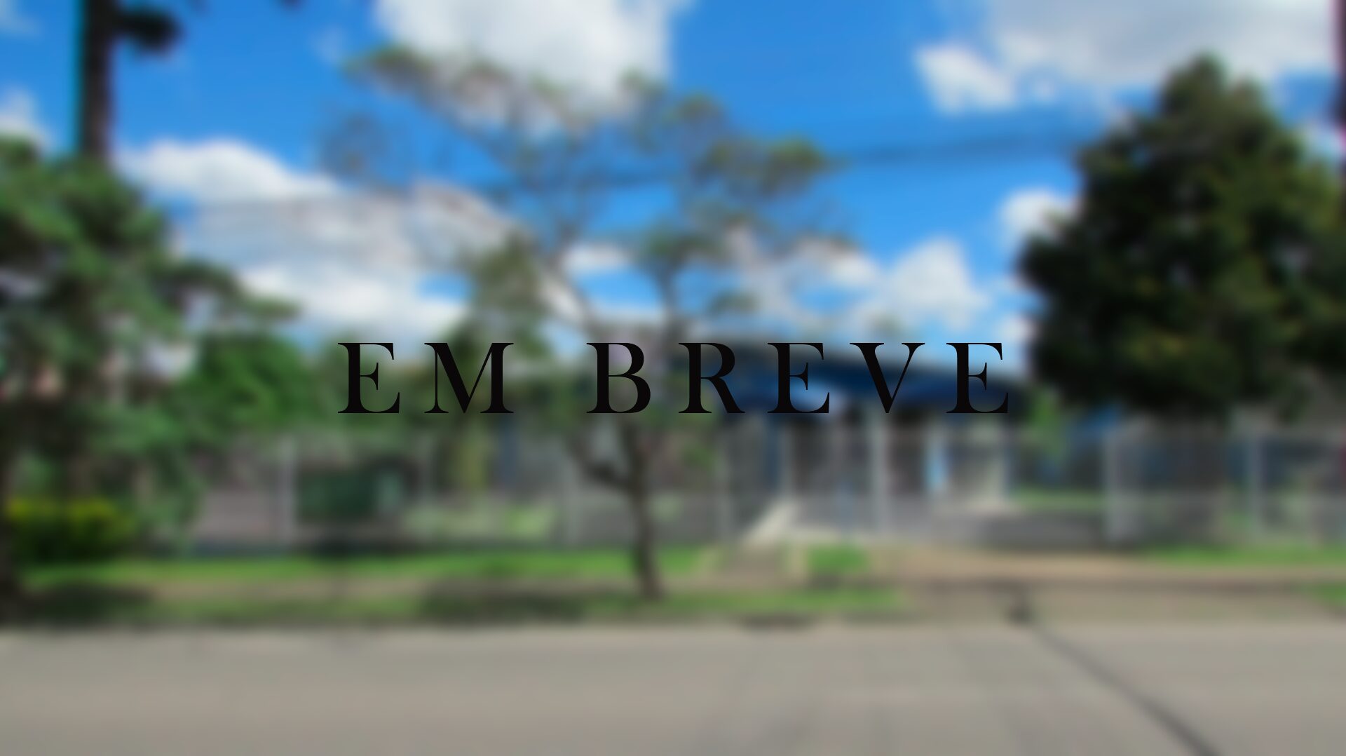 vida nova-blur 5